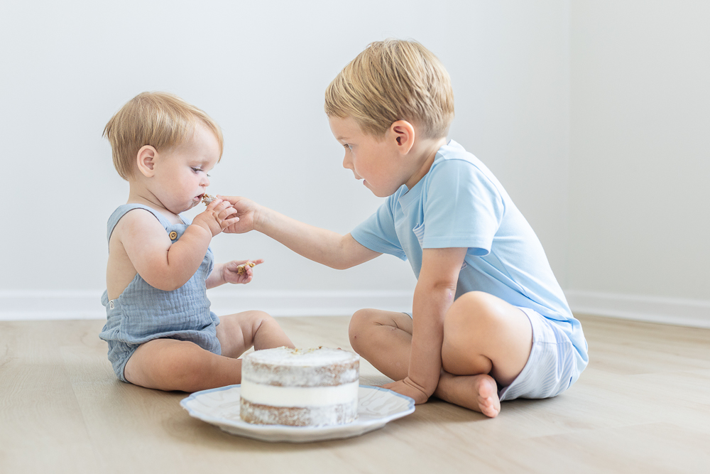 Southeast Michigan Milestone First Birthday Cake Smash Session