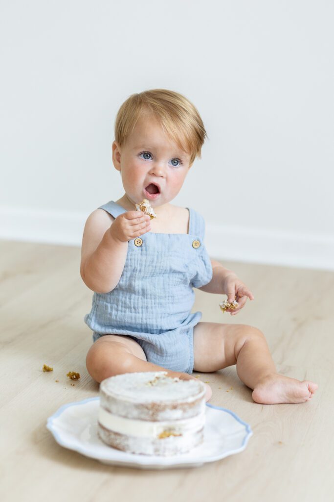 Michigan Photography studio in Canton Michigan Cake Smash Milestone Session with baby